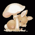 /album/fotogaleria/a46-gif/